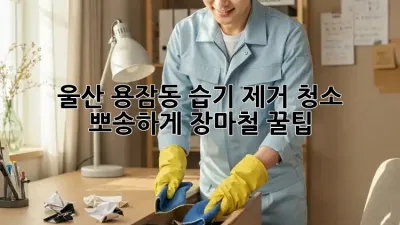 울산 용잠동 습기 제거 청소💦 뽀송하게! 장마철 꿀팁